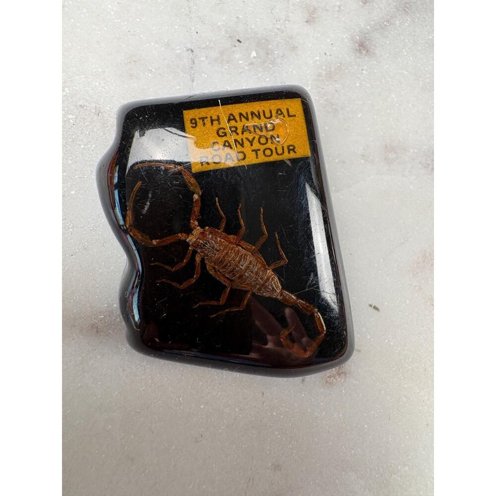 Vintage Scorpion embedded in encaustic as a pin brooch 9th Annual Grand Canyon R